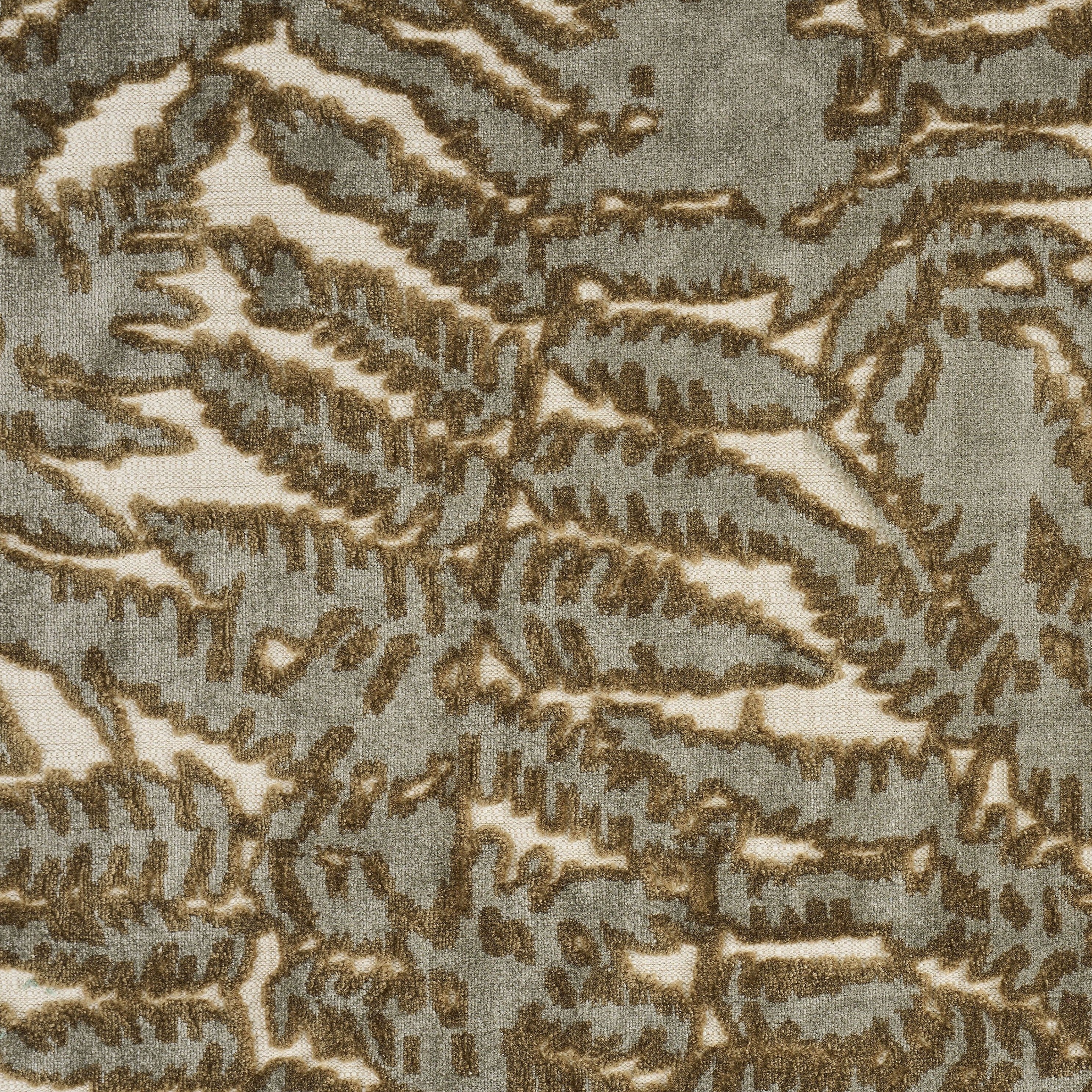 ROZINA LICHEN